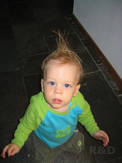 Imme 25 augustus 2007 (4).JPG